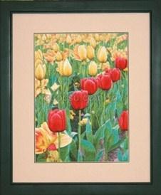 Vườn hoa tulip - FL-107
