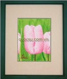 Hoa Tulip - FL-013
