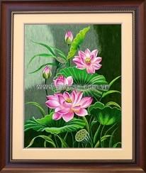 Đầm sen hồng 6 - QS.đ - 137